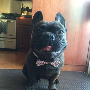 Meet your Posher, Kyle